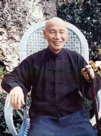 蒋介石评文革 组图