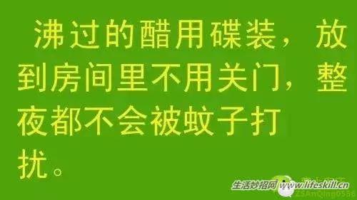 教你几招,蚊子一个夏天都不敢进你房间!
