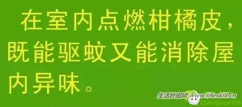 教你几招,蚊子一个夏天都不敢进你房间!