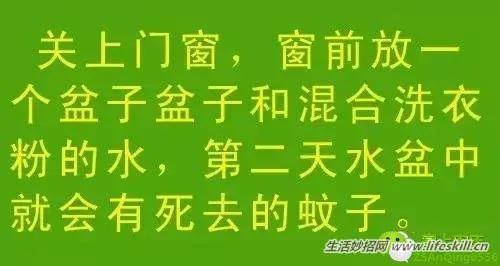 教你几招,蚊子一个夏天都不敢进你房间!