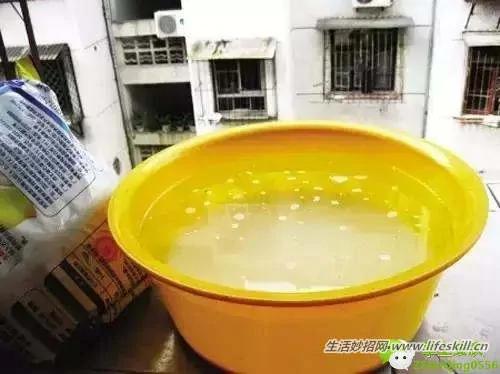 教你几招,蚊子一个夏天都不敢进你房间!