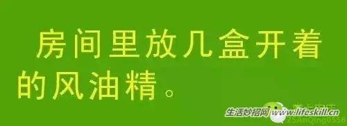 教你几招,蚊子一个夏天都不敢进你房间!