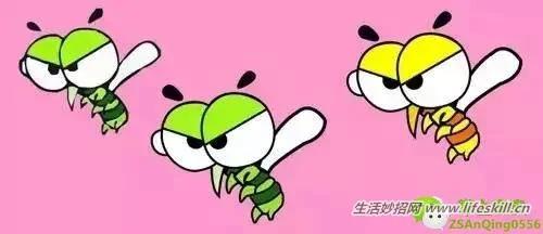 教你几招,蚊子一个夏天都不敢进你房间!