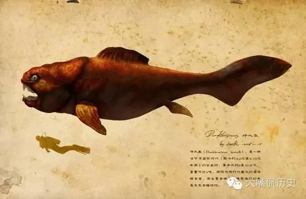 這10大史前海洋巨獸如果還活着定稱霸世界 阿波羅新聞網
