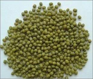 消暑降温 老中医推荐的12种食物最有效!