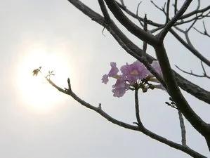 冥冥之中有定数 丑女有丑福