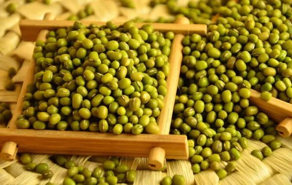 三伏天排毒养颜必备5大食材