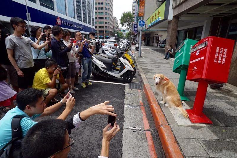 台风苏迪勒的纪念品 歪腰邮筒 民众惊呼超萌