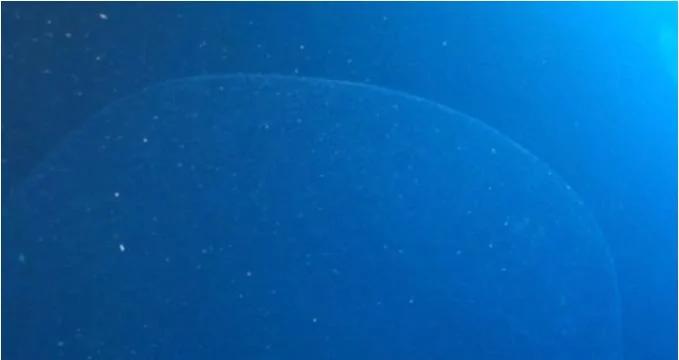 深海发现巨大神秘透明体,分析后原来是…