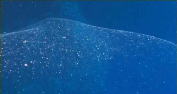 深海发现巨大神秘透明体,分析后原来是…
