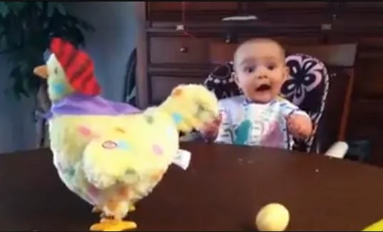 女婴目睹玩具母鸡下蛋又惊又喜惹人爱