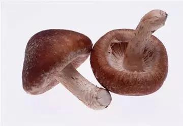 12种抗糖食物,你知道几种?