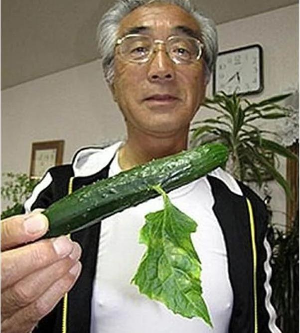 日福岛核灾,四年后蔬果仍呈畸形怪异样