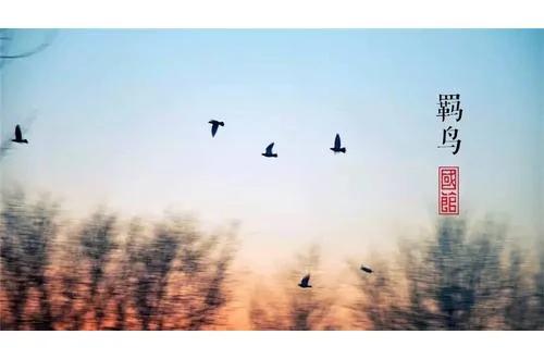 陶渊明丨他辞了五次公务员,只为回家喝酒种田