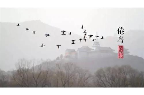 陶渊明丨他辞了五次公务员,只为回家喝酒种田