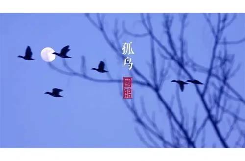 陶渊明丨他辞了五次公务员,只为回家喝酒种田