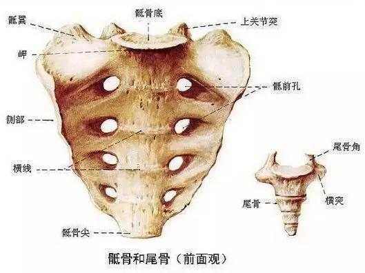 藏私房钱时,一定记得在钱中间夹一张纸!关键时刻能救你一命!