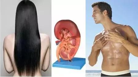 养肾就是养命 男女通用的补肾养发秘方
