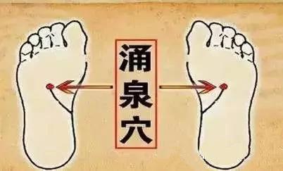 洋葱放在袜子里 奇迹出现了 有图有真相