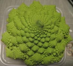 谁是世界上最孤独的数?