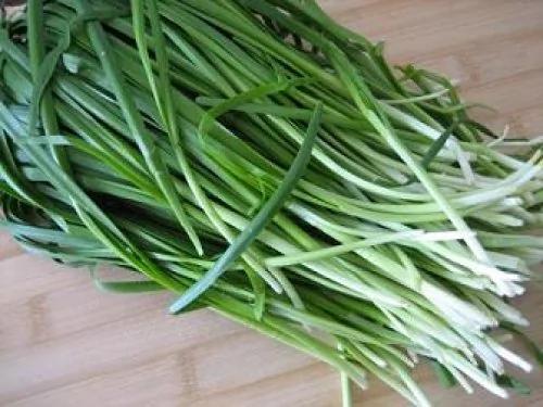 久坐上班族 吃6种食物提升免疫力
