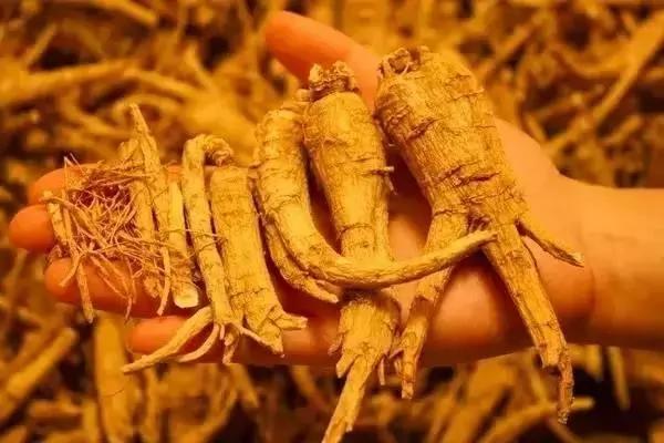 怕上火 难道你就不怕肾衰竭?