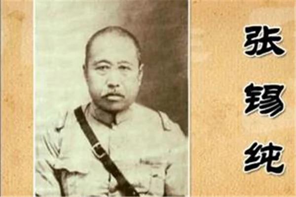 张锡纯 众望所归的医学大家 图