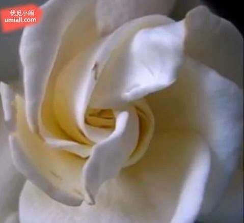 超级震撼:太阳系运转的短片,课本上教的地球公转简直弱爆了