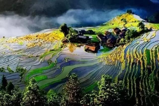 龙应台:日子怎么过 就是文化 (好文 强烈推荐)