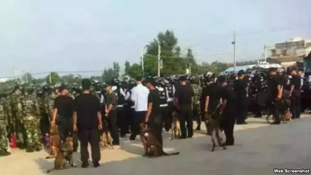 大批警察在上林村执行抓捕行动（网络图片/上林村村民）