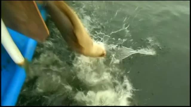 心理测试:在6个图片中选出最吸引你的〝水面照〞,原来我内心深处是这样的⋯⋯