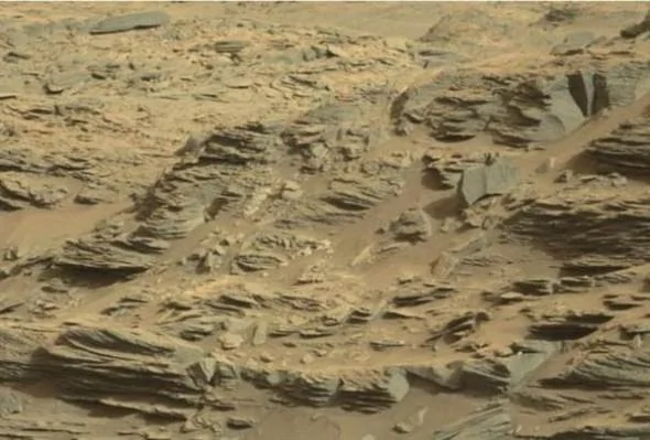 NASA發佈火星最新照片專家發現「外星蠍子」(圖/mirror)