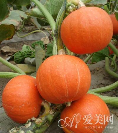 让大脑永葆年轻的妙方 绝大数人都不知道!