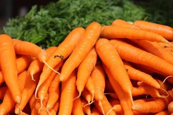 秋分养生:身体最爱七种滋补食物!