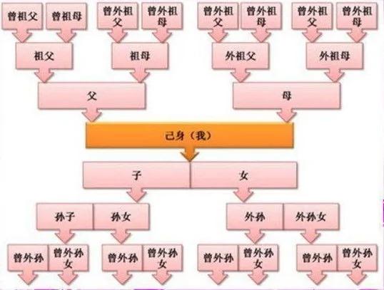 你知道祖宗十八代咋称呼吗?这下全搞懂了!
