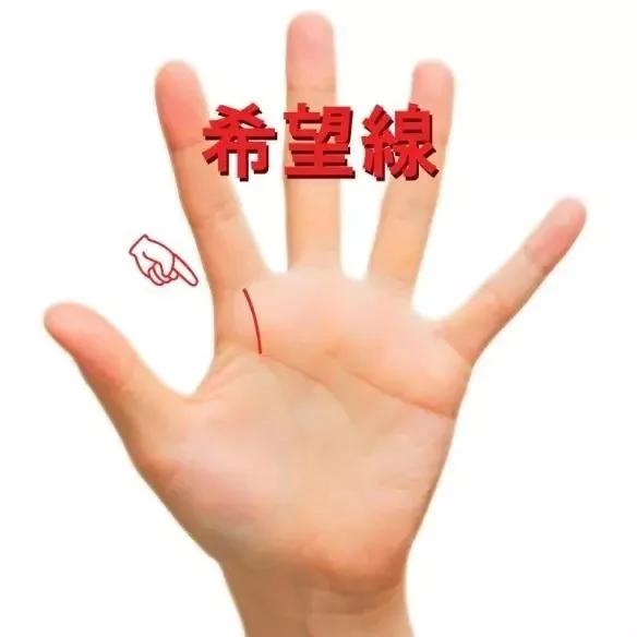 手上有这条线的人将被宠爱一生!快看看你有没有?