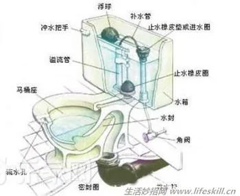 解決廁所堵塞的小方法集錦