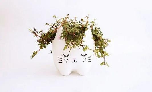 太棒了!!看完后宝特瓶再也不舍得丢了