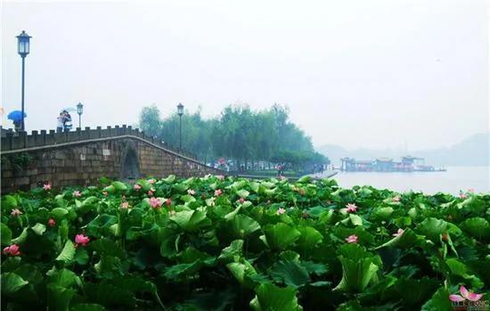 十一长假 国内这些景点千万不要去