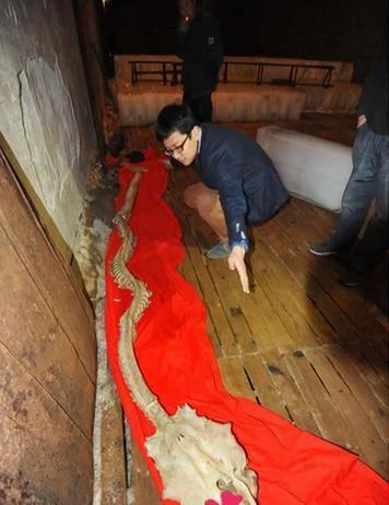 龙骨现身中国震惊世界 曝70年前有人目睹天降巨龙