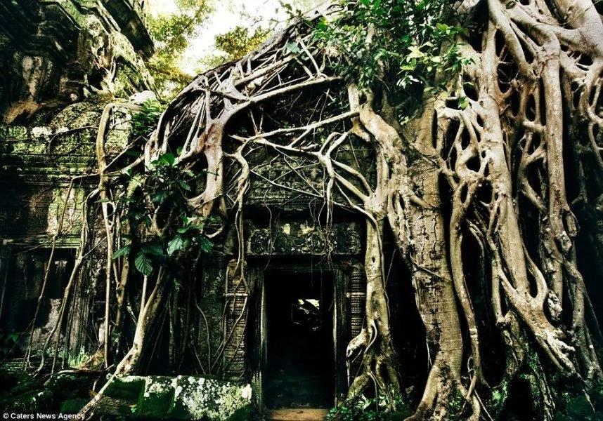 瑞士摄影师拍摄柬埔寨吴哥废弃古庙美景