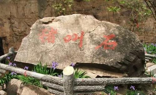 太行山奇石通灵 千古之谜猪叫石
