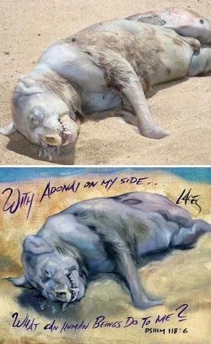 海滩上发现的各种奇特海洋怪兽