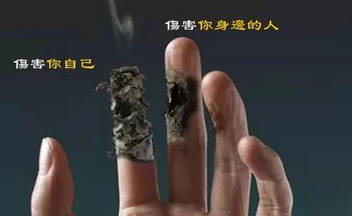 血管是如何一天天堵塞的,看完吓一跳