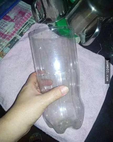 一個可樂瓶就能輕鬆種出豆芽菜 懶人想省錢學這招就對了