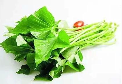 秋吃红薯功效竟然这么大,一定要告诉家人!