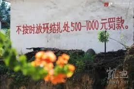 开放二孩爆笑段子:独生子小明逼53岁老母亲生个妹妹