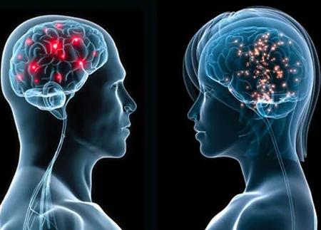人类大脑少为人知的6个奇特事实
