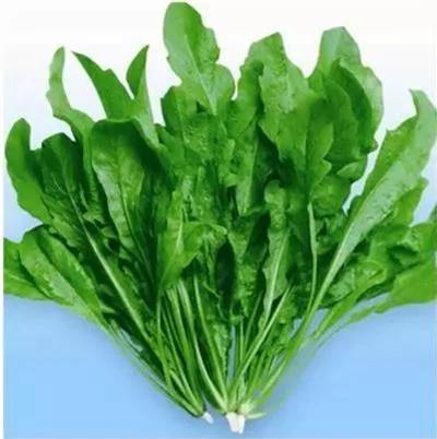 补钙第一名居然是它......牛奶竟然才排第三名!!
