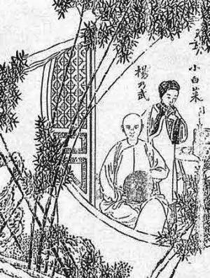 谁为杨乃武与小白菜洗冤?